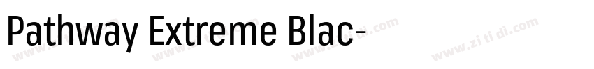 Pathway Extreme Blac字体转换